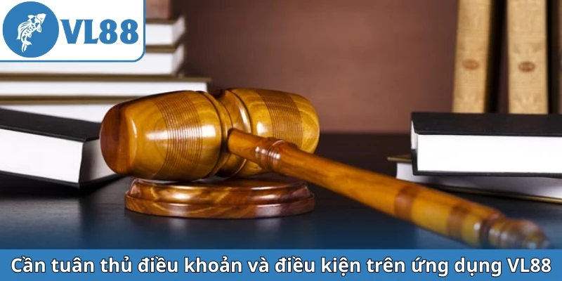 can-tuan-thu-dieu-khoan-va-dieu-kien-tren-ung-dung-vl88