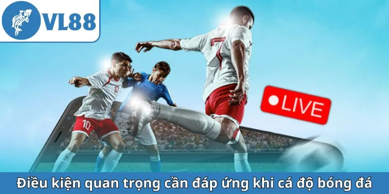 dieu-kien-quan-trong-can-dap-ung-khi-ca-do-bong-da
