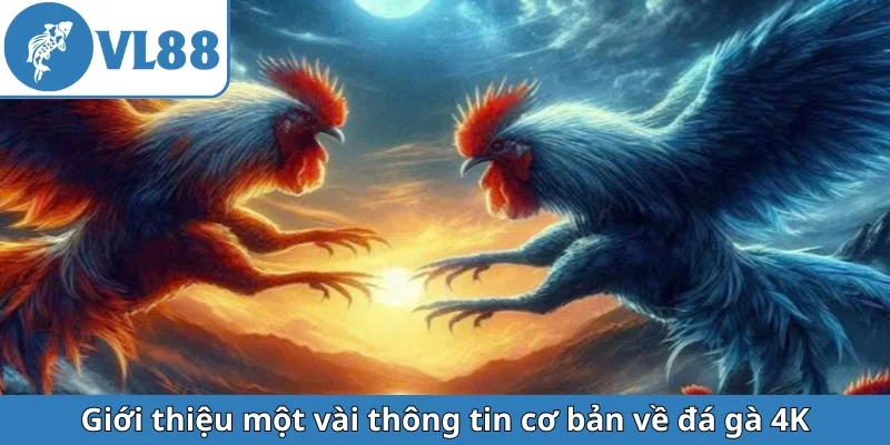 gioi-thieu-mot-vai-thong-tin-co-ban-ve-da-ga-4k