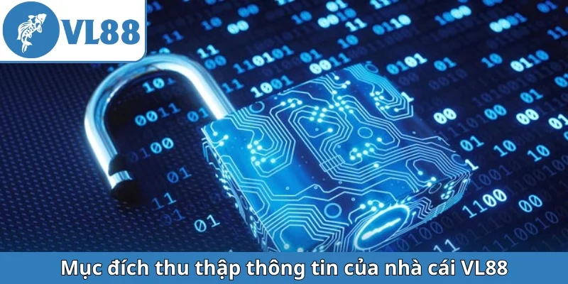 muc-dich-thu-thap-thong-tin-cua-nha-cai-vl88